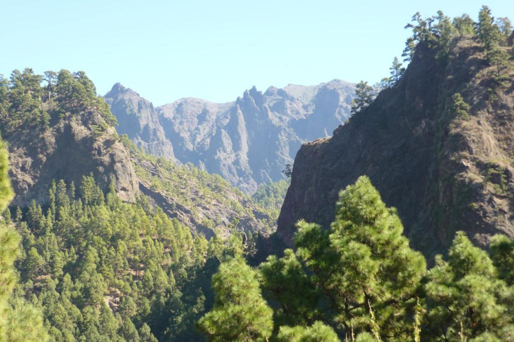洛斯·亚诺斯·德·阿里丹 El Porvenir旅舍 外观 照片